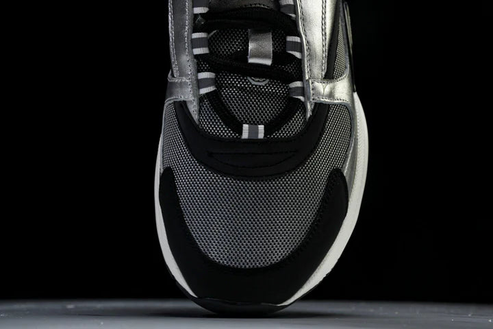 D1or B22 'Silver Black'